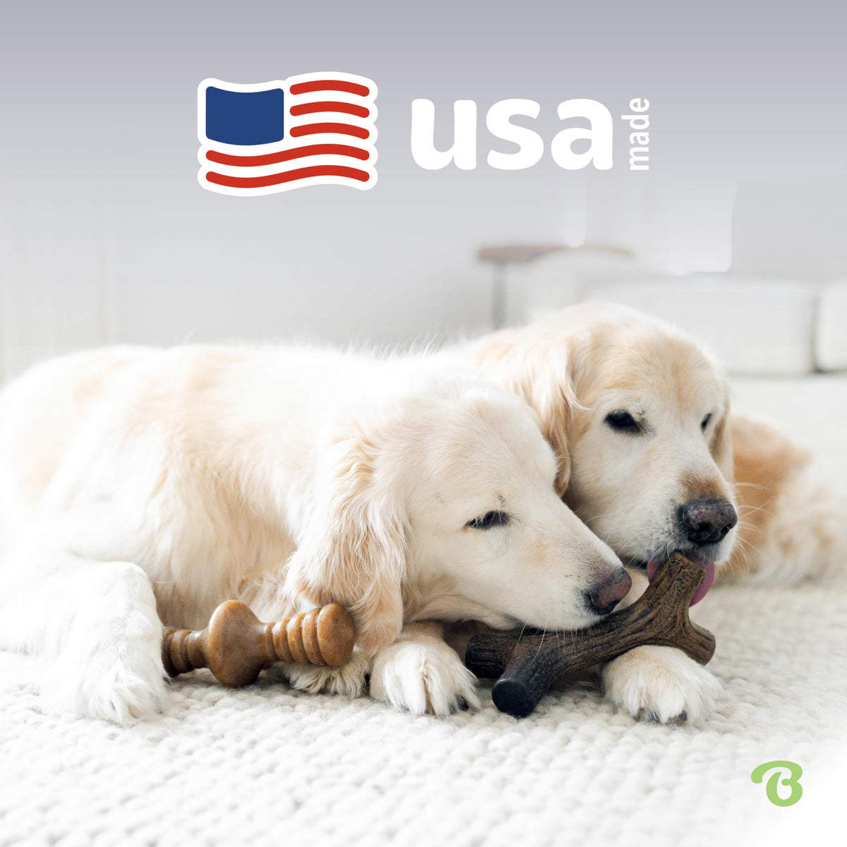 Benebone Small 4-Pack Dog Toys for Aggressive Chewers – Under 30 lbs