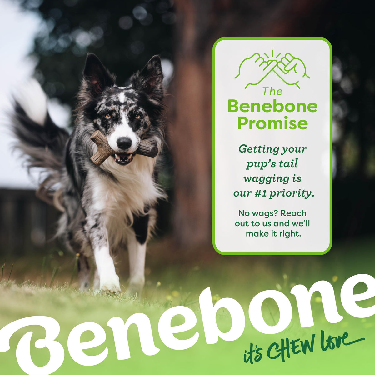 Benebone 7-Pack Dog Chew Toys for Aggressive Chewers, Dog Bones, Medium