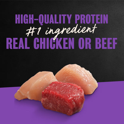 Cesar Wet Dog Food, Steak Lovers Variety Pack, 3.5 oz, 36 Count