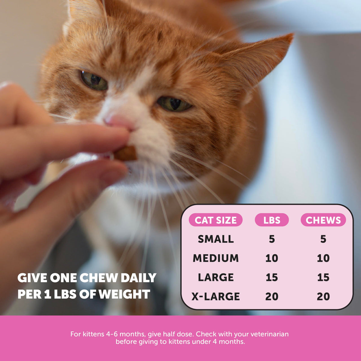 Pet Honesty Vet Backed Cat Multivitamin Lickable Puree, Salmon, 40 Ct