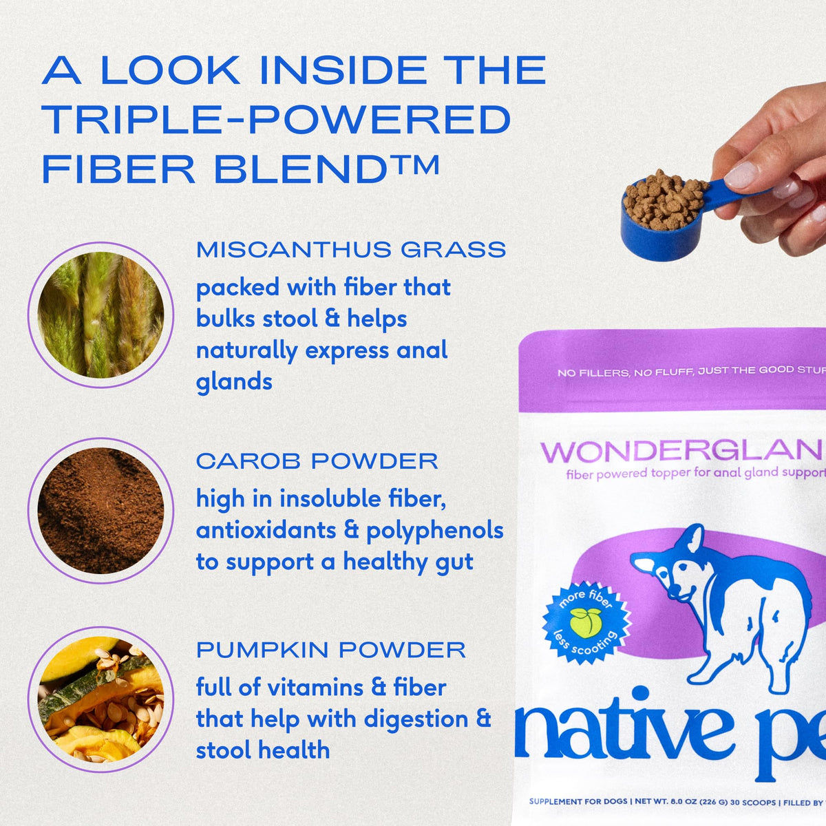 Native Pet GutWell Power Poop - Digestive Support & Fiber for Dogs - Promotes Healthy Stools, Supports Balanced Microbiome & Digestive Function - Triple-Biotic Blend & M-Fiber - 60 Scoops