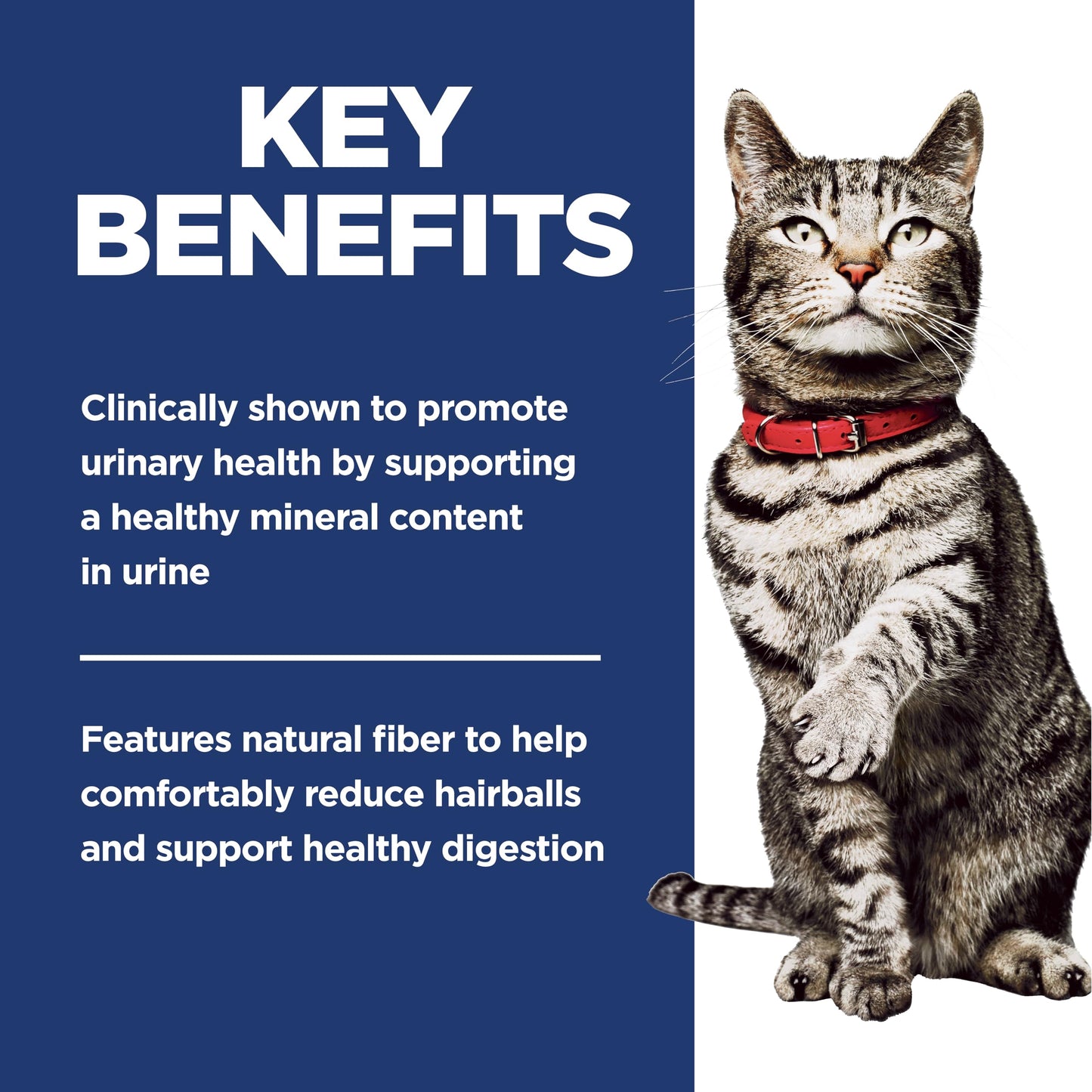 Hill's Science Diet Adult Urinary & Hairball Control Dry Cat Food