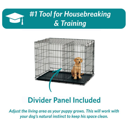Midwest 42-Inch Single Door iCrate, for Large Breeds, 71-90 lbs