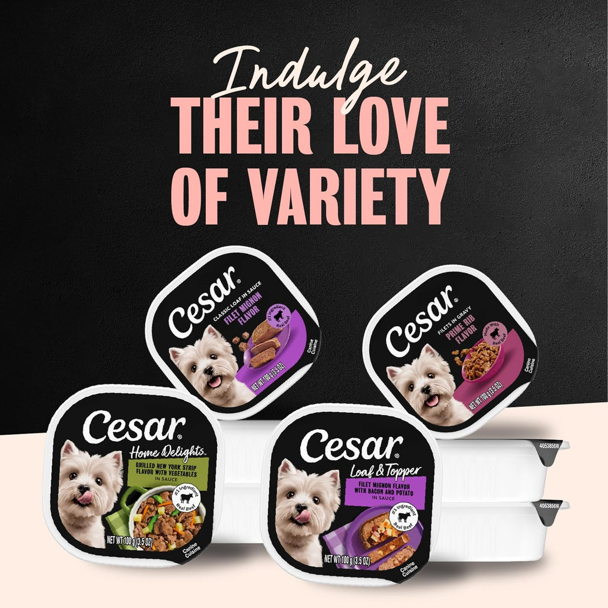 Cesar Wet Dog Food, Steak Lovers Variety Pack, 3.5 oz, 36 Count