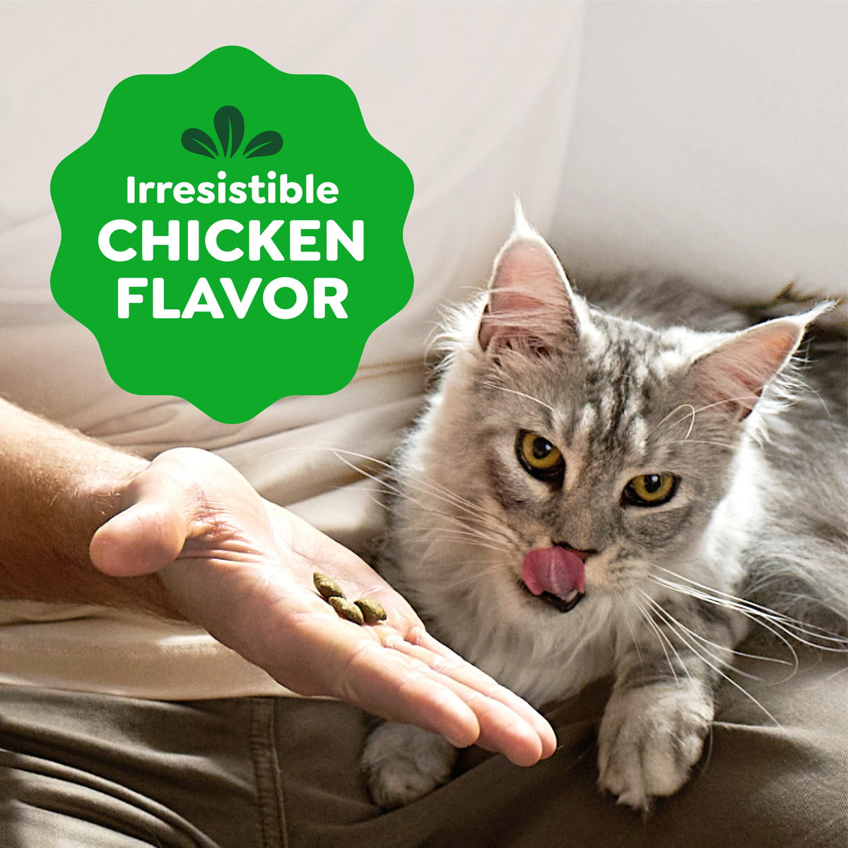Greenies Feline Smartbites Skin & Fur Health Cat Treats, Salmon, 4.6 oz
