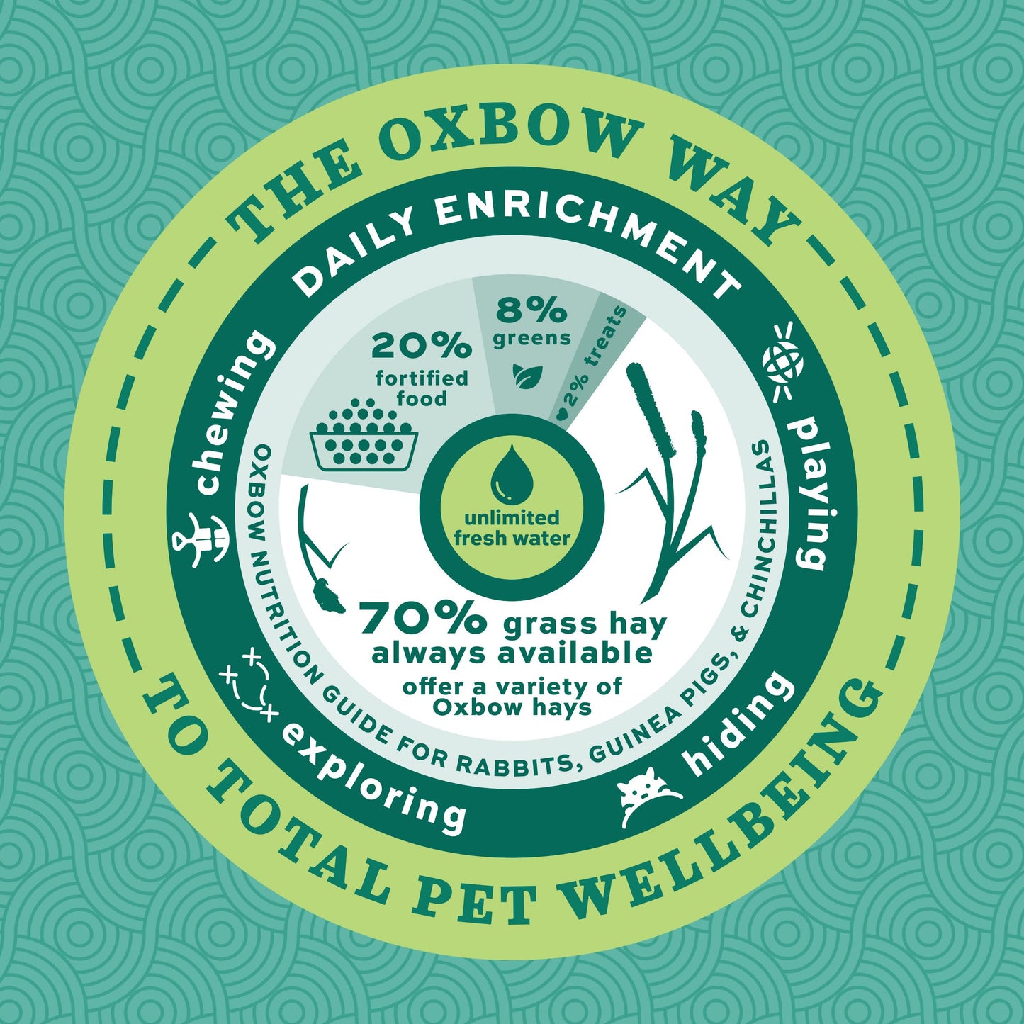Oxbow Essentials Young Rabbit Food, High-Fiber Rabbit Pellets, USA, 10 lb