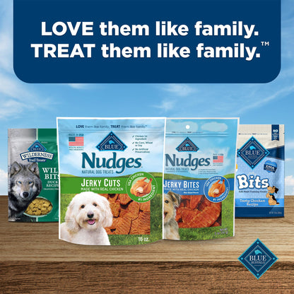 Blue Buffalo Nudges Jerky Cuts Chicken & Duck Dog Treats, 16 oz