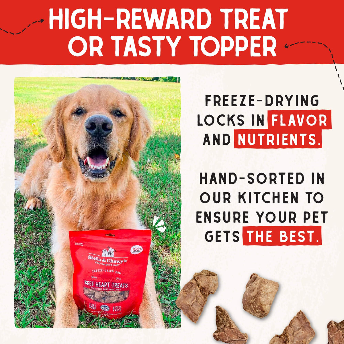Stella & Chewy's Freeze-Dried Raw Chicken Breast Dog Treats - Single Ingredient, No Additives - Premium Training Treats - Perfect For Picky Eaters - 2.75oz Bag