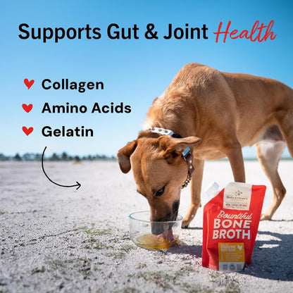 Stella & Chewy's Premium Cage-Free Chicken Bone Broth for Dogs - Joint & Gut Health Support Liquid Food Topper with Collagen & Turmeric, 16 Fl Oz Resealable Pouch