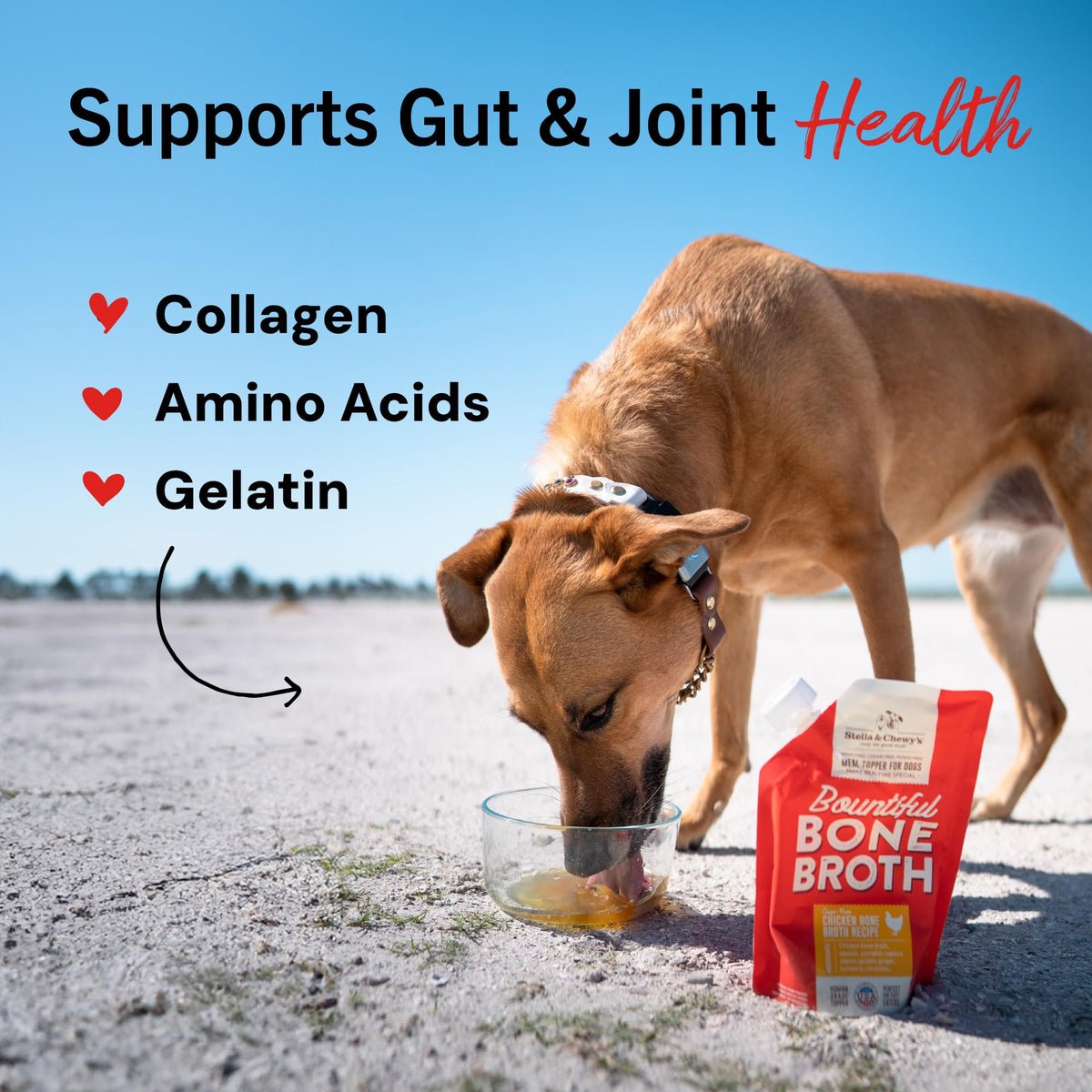 Stella & Chewy's Premium Cage-Free Chicken Bone Broth for Dogs - Joint & Gut Health Support Liquid Food Topper with Collagen & Turmeric, 16 Fl Oz Resealable Pouch