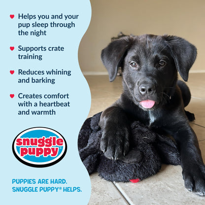 Snuggle Puppy Heartbeat Toy, Calming Comfort, Medium Breeds - Biscuit