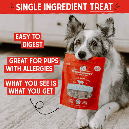 Stella & Chewy's Freeze-Dried Raw Chicken Breast Dog Treats - Single Ingredient, No Additives - Premium Training Treats - Perfect For Picky Eaters - 2.75oz Bag