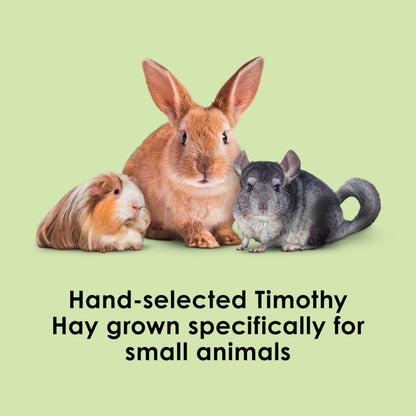 Kaytee Timothy Hay, High Fiber for Rabbits, Guinea Pigs, 32 Ounces