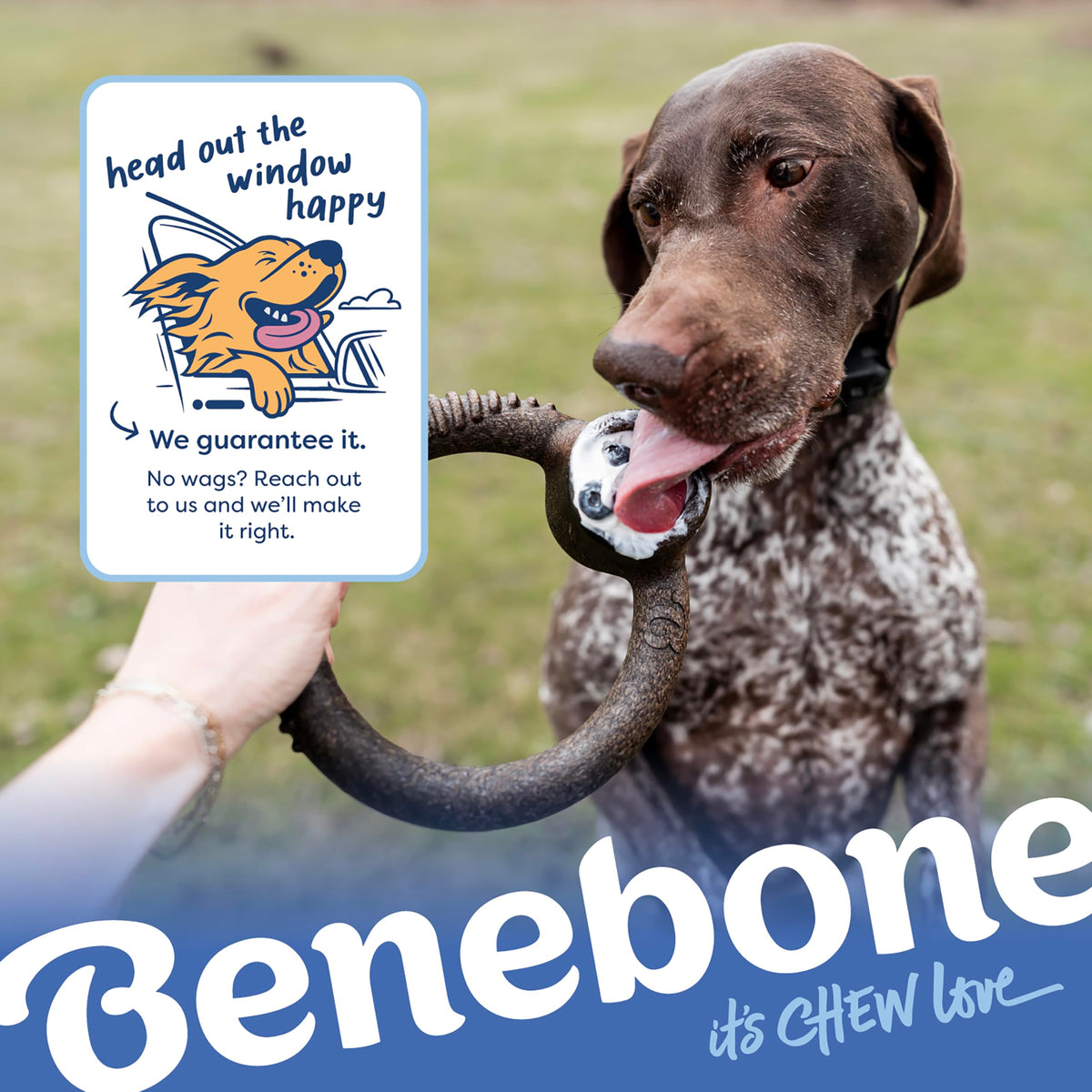 Benebone Medium 4-Pack Dog Toys for Aggressive Chewers – Under 60 lbs