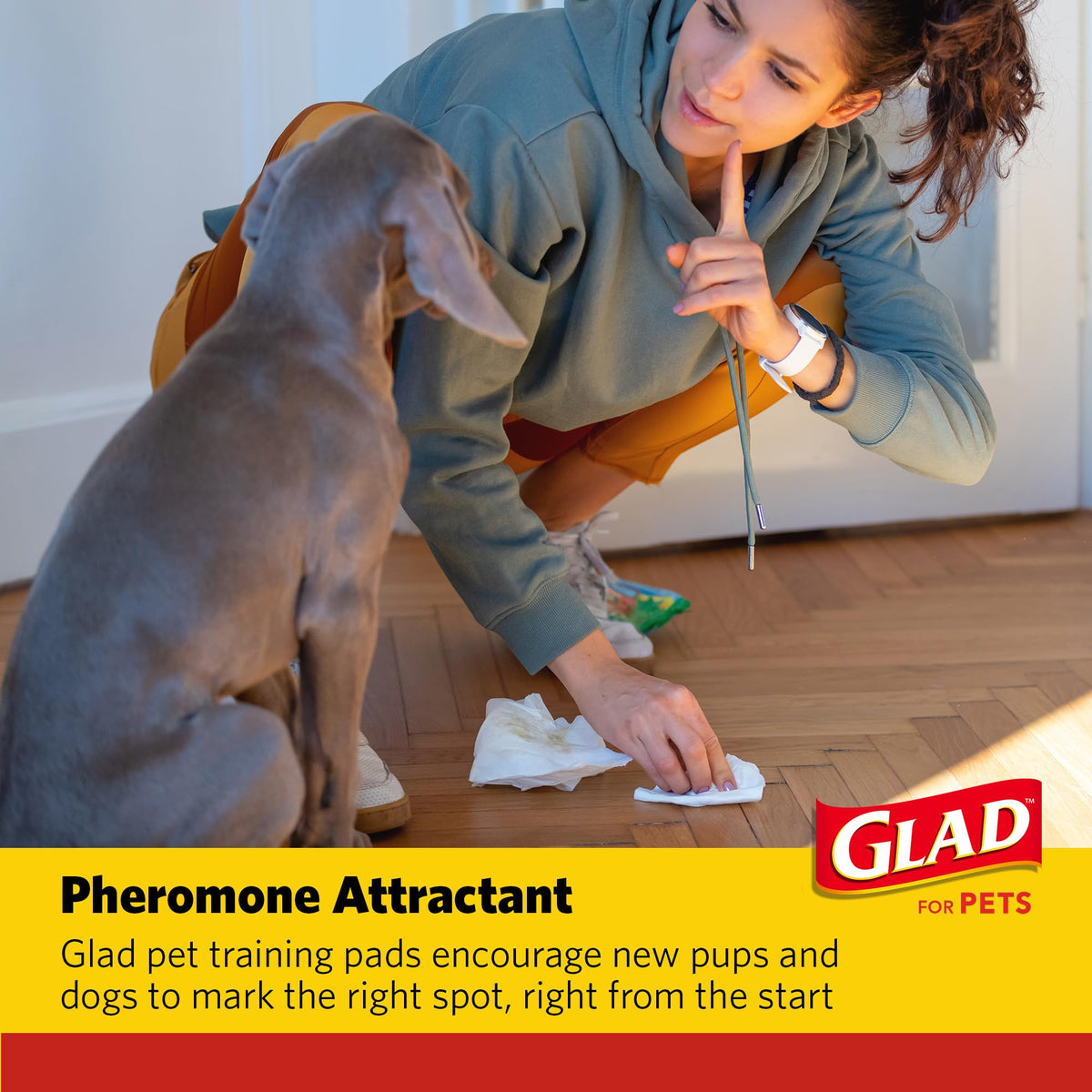 Glad for Pets Activated Carbon Disposable Dog Training Pads, 100 Count