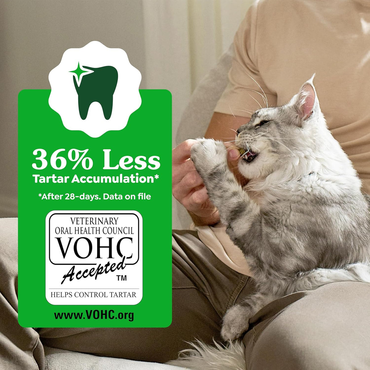 Greenies Feline Natural Crunchy Dental Cat Treats, Salmon Flavor, 9.75 oz
