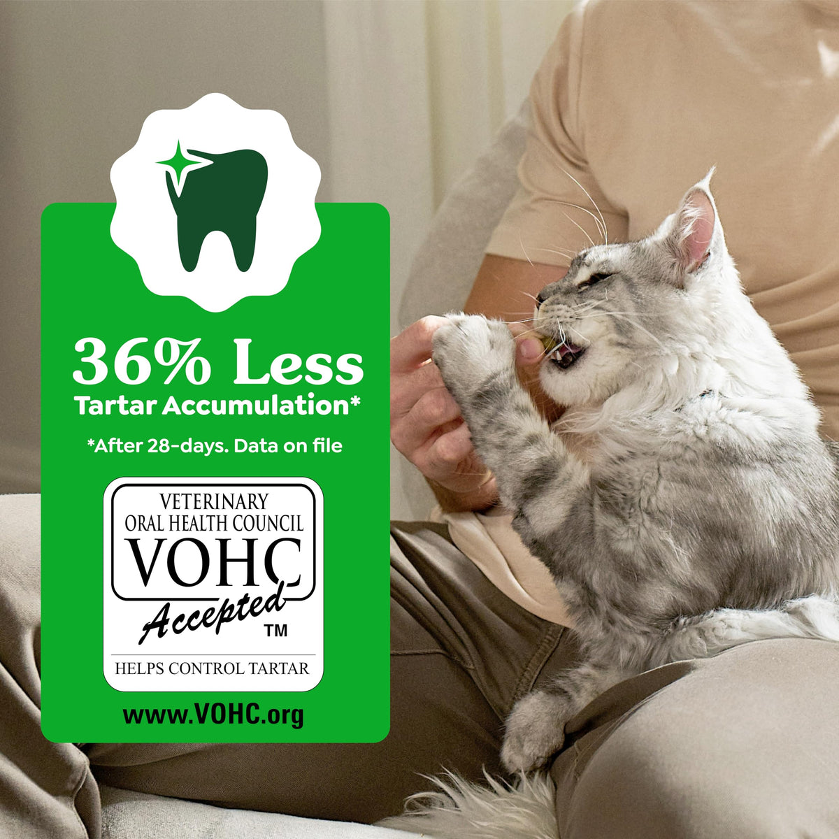 Greenies Feline Natural Dental Cat Treats, Catnip Flavor, 9.75 oz
