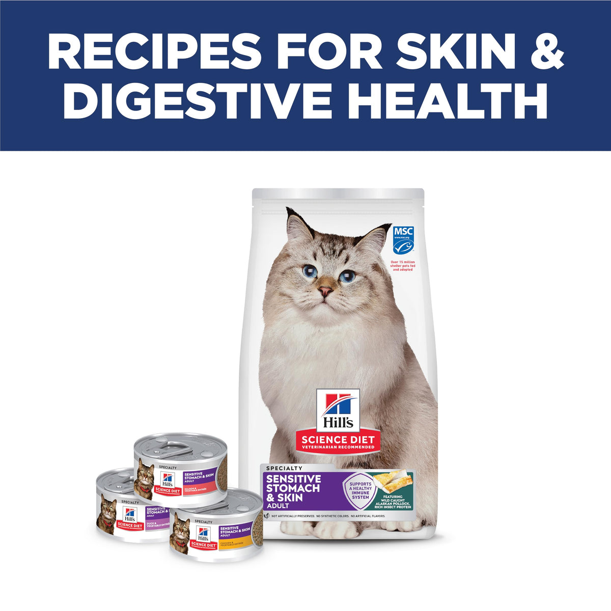 Hill's Science Diet Sensitive Stomach & Skin Dry Cat Food