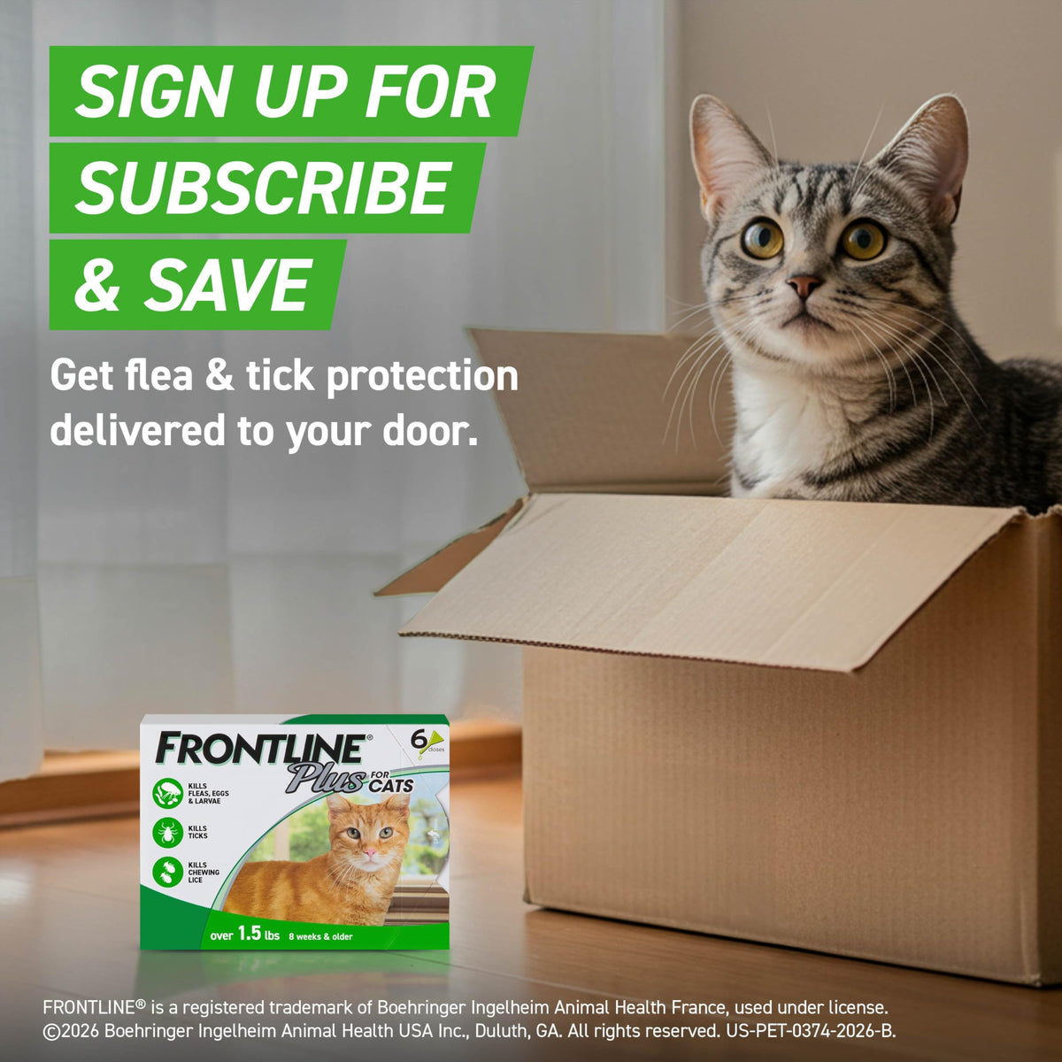 FRONTLINE Plus Flea & Tick Spot Treatment for Cat & Kitten (Green) Count of 3