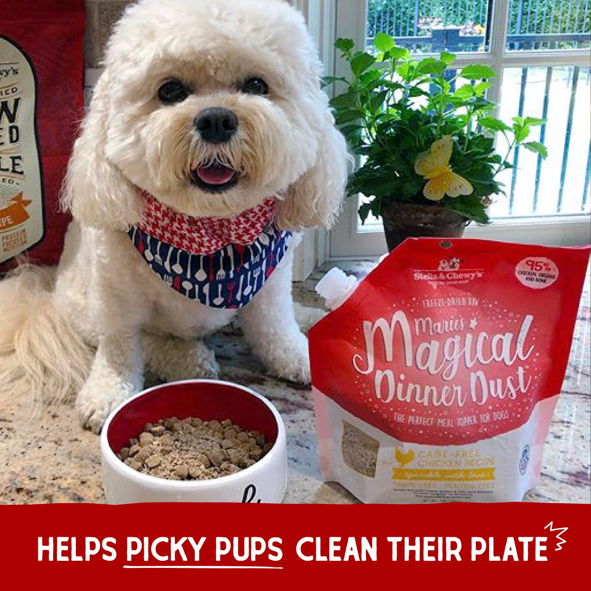 Stella & Chewy’s Freeze-Dried Raw Marie's Magical Dinner Dust – Protein Rich, Grain Free Dog & Puppy Food Topper – Grass-Fed Beef Recipe – 7 oz Bag