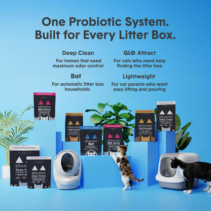 Boxie Probiotic Natural Lightweight Cat Litter 40+ Day Odor Control 11.5 lb