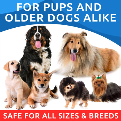 Omega 3 + Fish Oil for Dogs - Skin & Coat Support, Itch & Allergy Relief