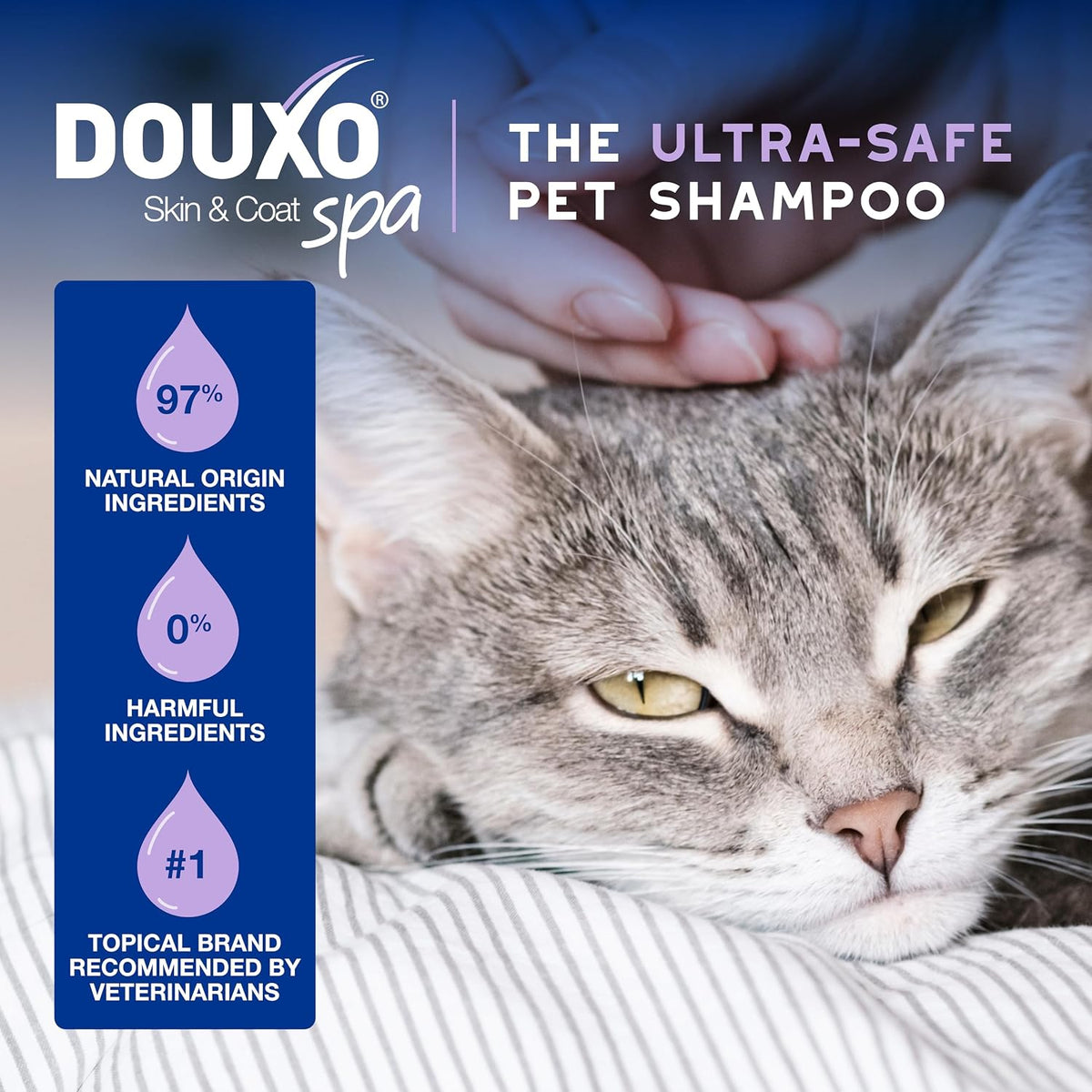 DOUXO SPA Waterless Cat Shampoo, 10 fl oz