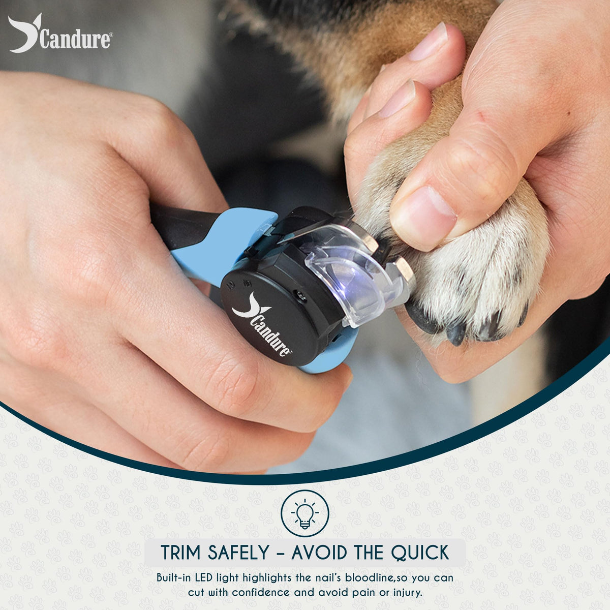 Candure Cat Nail Clippers for Indoor Cats, Rabbits, Hamsters, Birds with Precise Angled Edges to Ensure Easy & Safe Trimming Stainless Steel Cat Nail Trimmer for At-Home Cat Grooming