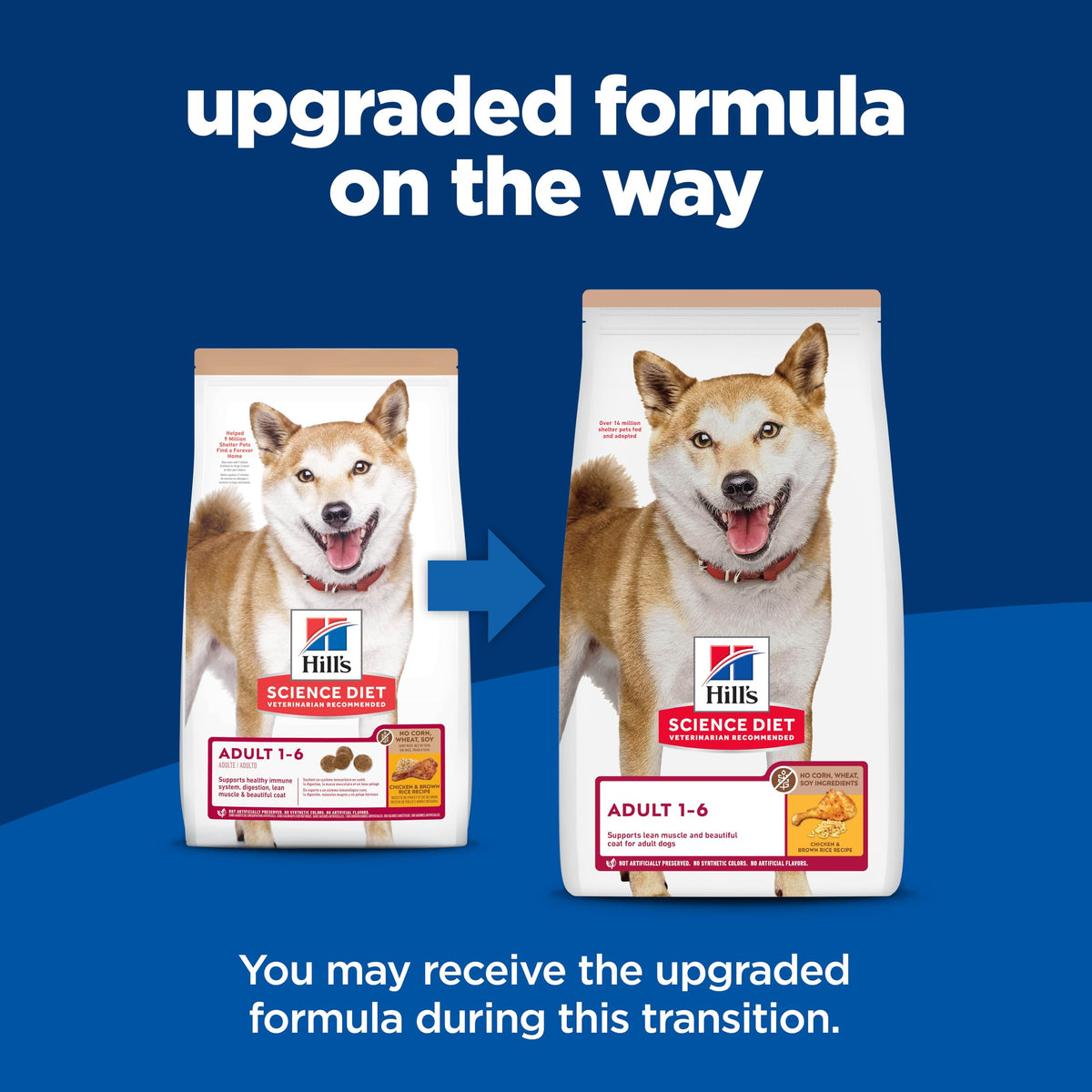 Hill's Science Diet Adult 1-6 Dry Dog Food