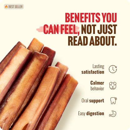 Natural Farm Odor-Free Bully Sticks (6 Inch, 25 count),1.3 lb. Bag, Fully Digestible 100% Beef Pizzle Chews,Grass-Fed, Non-GMO,Grain-Free, Natural Long-Lasting Chews for Small & Large Dogs. Pack of 25