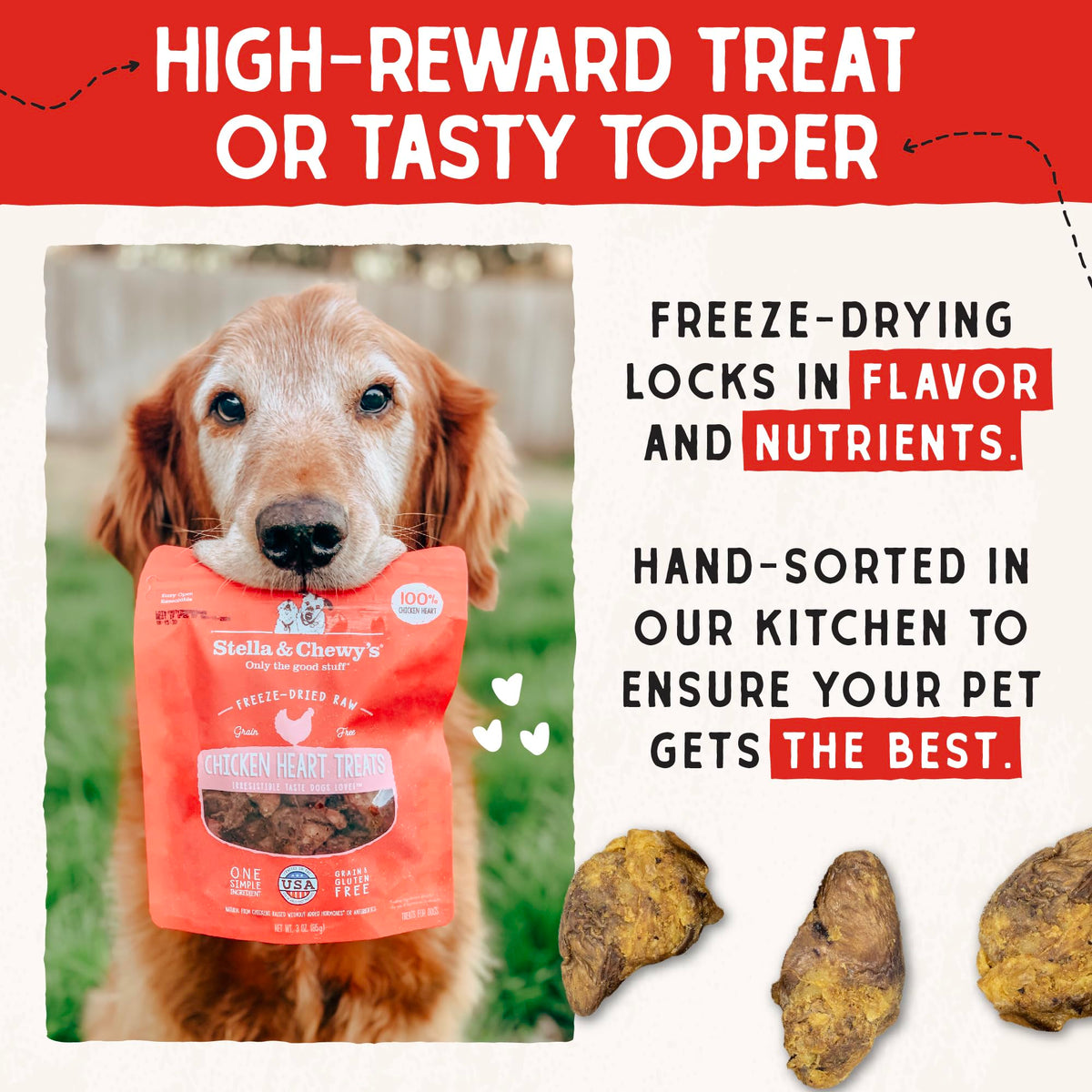 Stella & Chewy's Freeze-Dried Raw Chicken Breast Dog Treats - Single Ingredient, No Additives - Premium Training Treats - Perfect For Picky Eaters - 2.75oz Bag