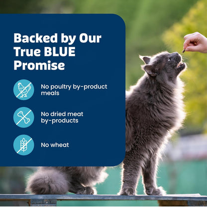 Blue Buffalo Bursts Seafood Crunchy & Creamy Cat Treats, 12 oz