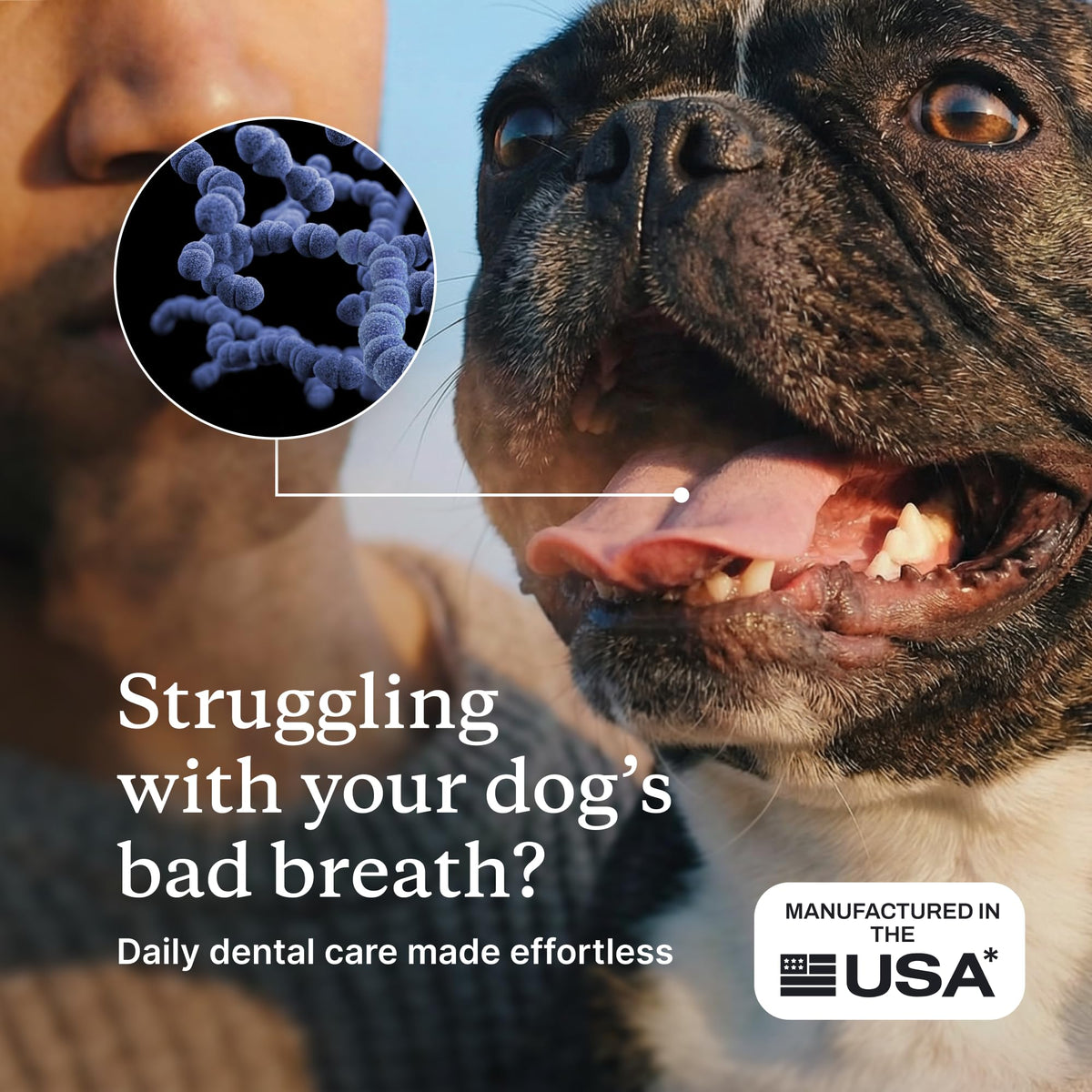 PetLab Co. ProBright Dental Powder for Extra Small Dogs