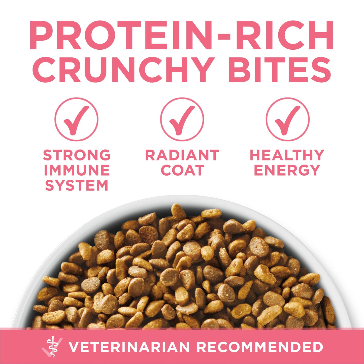 Purina ONE High Protein Natural Kitten Dry Cat Food, 7 lb Bag