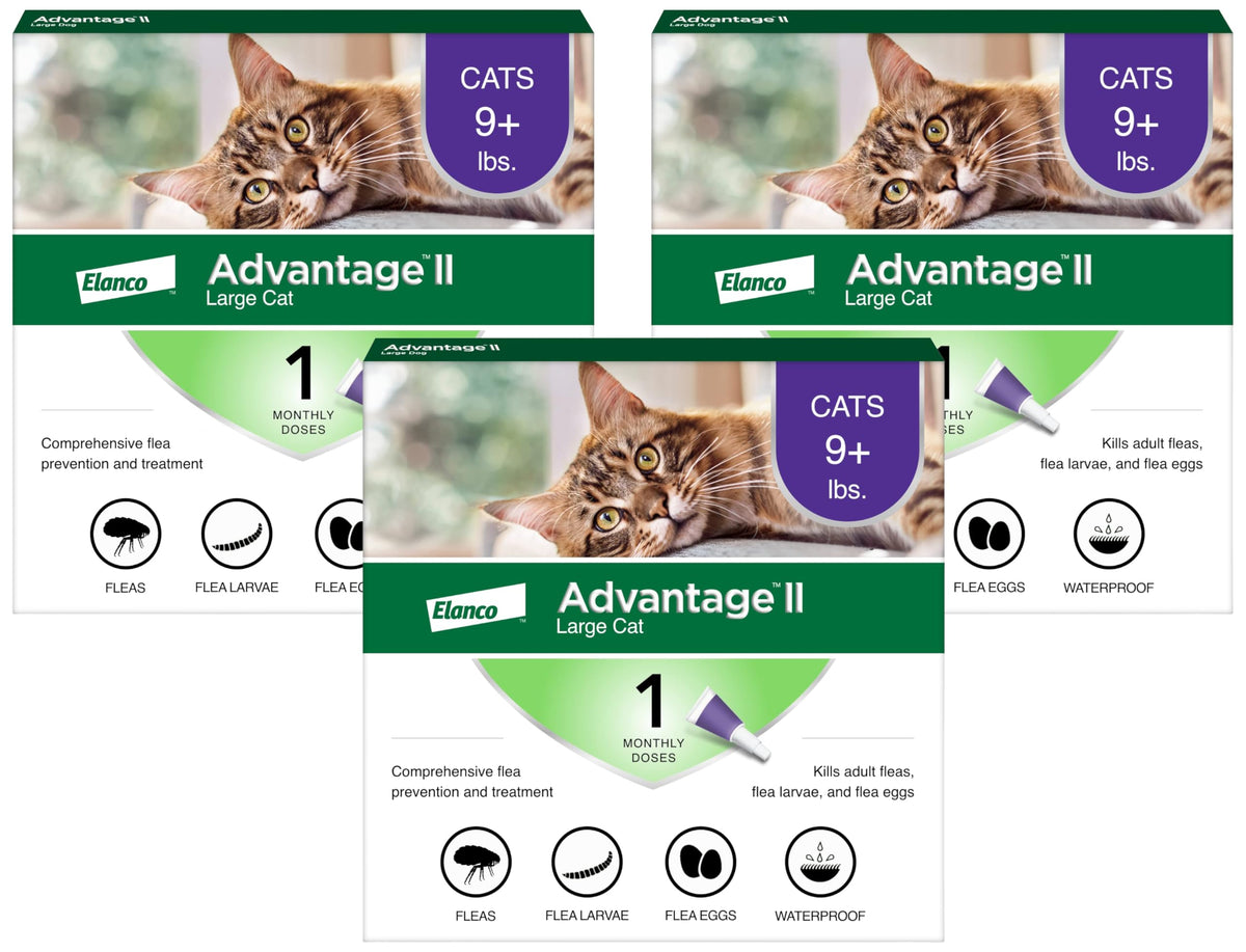 Advantage II Large Cat Topical Flea Treatment & Prevention, 2ct