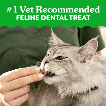 Greenies Feline Natural Dental Cat Treats, Catnip Flavor, 9.75 oz