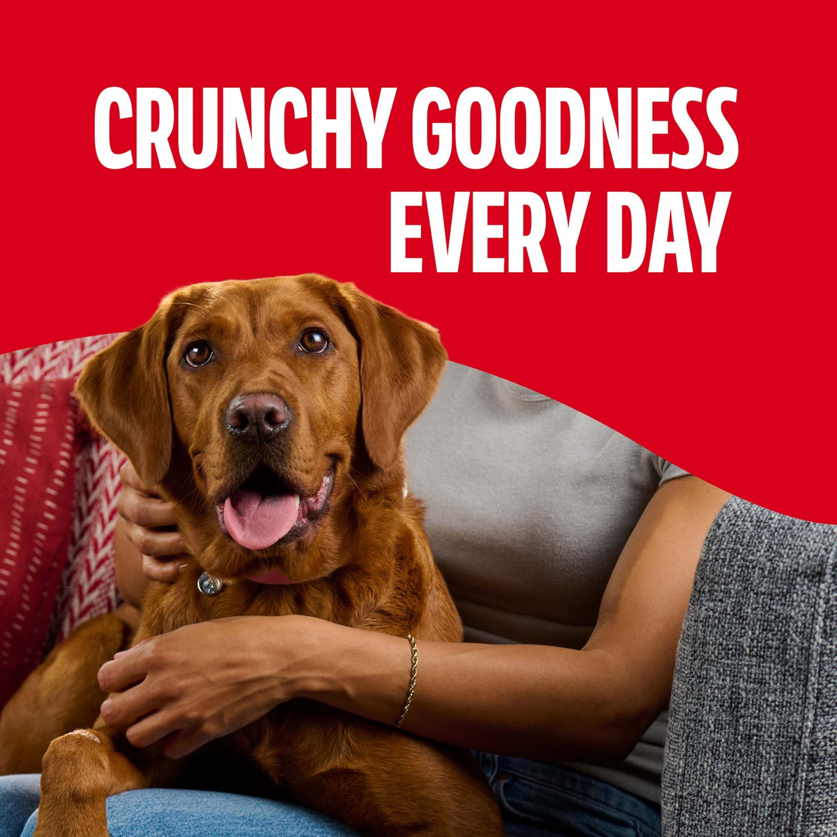 Milk-Bone Flavor Snacks Small Dog Biscuits, 7 lb Box