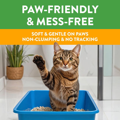 Feline Pine Platinum Non-Clumping Cat Litter, Feline Pine Cat Litter 18lb