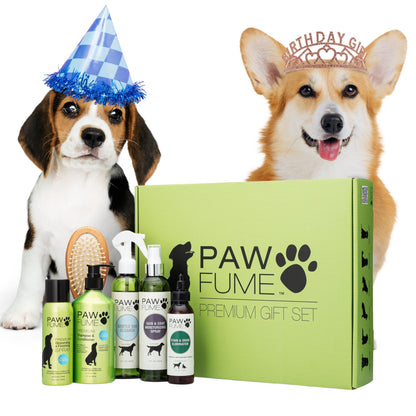 Paw Fume Dog Perfume Spray Long Lasting, Show Dog, 1-Pack