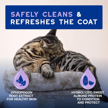 DOUXO SPA Waterless Cat Shampoo, 10 fl oz