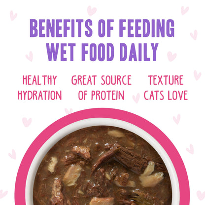 Weruva B.F.F. OMG - Best Feline Friend Oh My Gravy! Tuna & Chicken Charm Me with Tuna & Chicken in Gravy Cat Food, 3oz Pouch (Pack of 48)