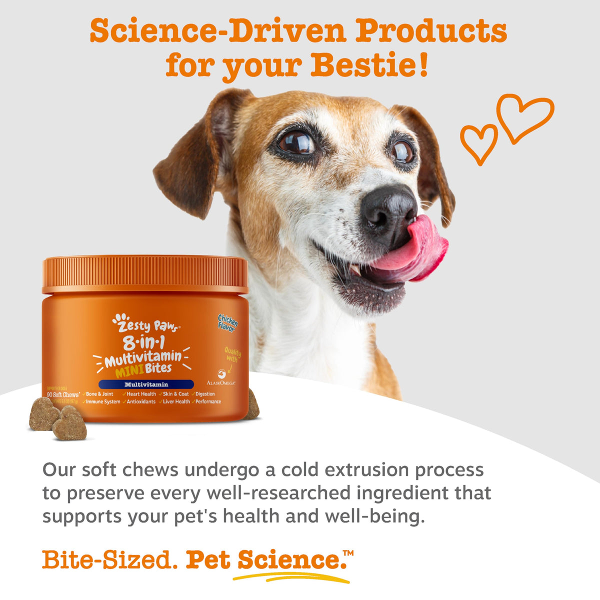 Zesty Paws Dog Vitamins - Dog Multivitamin Chews, Chicken, 90 Ct
