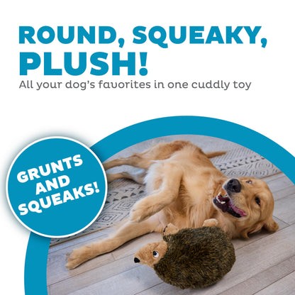 Outward Hound Hedgehogz Plush Dog Toy, Squeaks & Grunts, Medium, 9" x 6.5"
