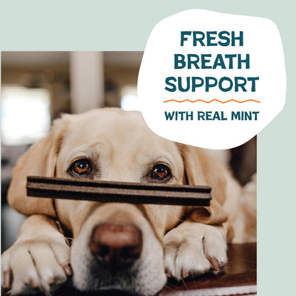 Shameless Pets Blueberry & Mint Dental Chews for Dogs, 8 Chews - Natural Dog Teeth Cleaning Treats with Fresh Breath Benefits | Grain-Free Dental Sticks for Small, Medium & Large Dogs (Pack of 6)
