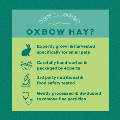 Oxbow Western Timothy Hay, Rabbit & Guinea Pig Hay, High Fiber, USA, 40 oz