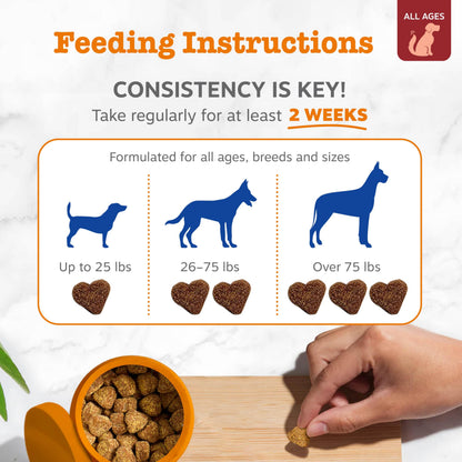 Zesty Paws Dog Multivitamin + Glucosamine for Dogs - Peanut Butter, 90 Ct
