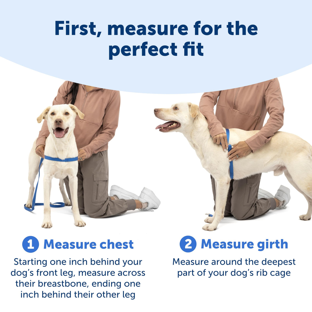 PetSafe Easy Walk Harness, No Pull Dog Harness, Raspberry, Medium/Large