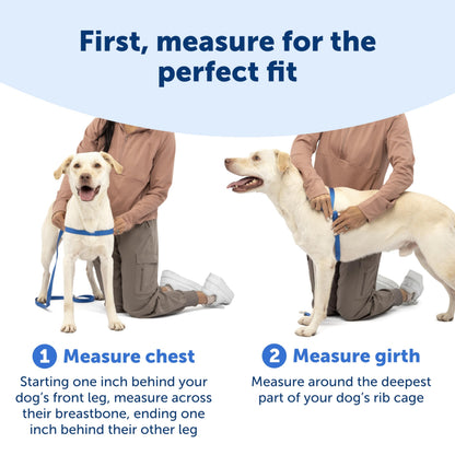 PetSafe Easy Walk Harness, No Pull Dog Harness, Raspberry, Medium/Large