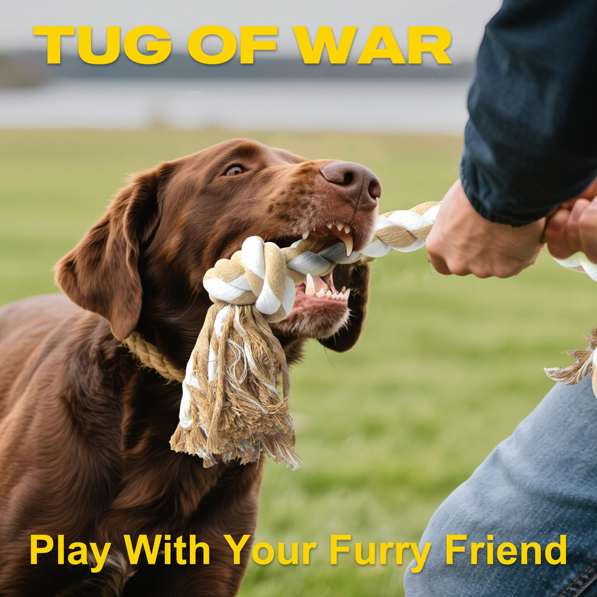 Fida Dog Rope Toys for Aggressive Chewers, Chew Toys for Large Medium Dogs