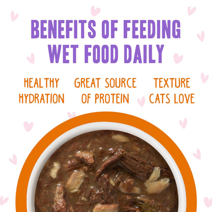Weruva B.F.F. OMG - Best Feline Friend Oh My Gravy! Tuna & Chicken Charm Me with Tuna & Chicken in Gravy Cat Food, 3oz Pouch (Pack of 48)